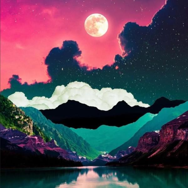 组装机械章鱼龙