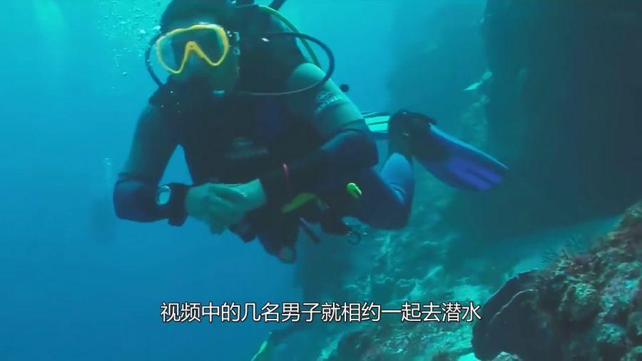 几路车直通郑州市森林公园?游戏画面